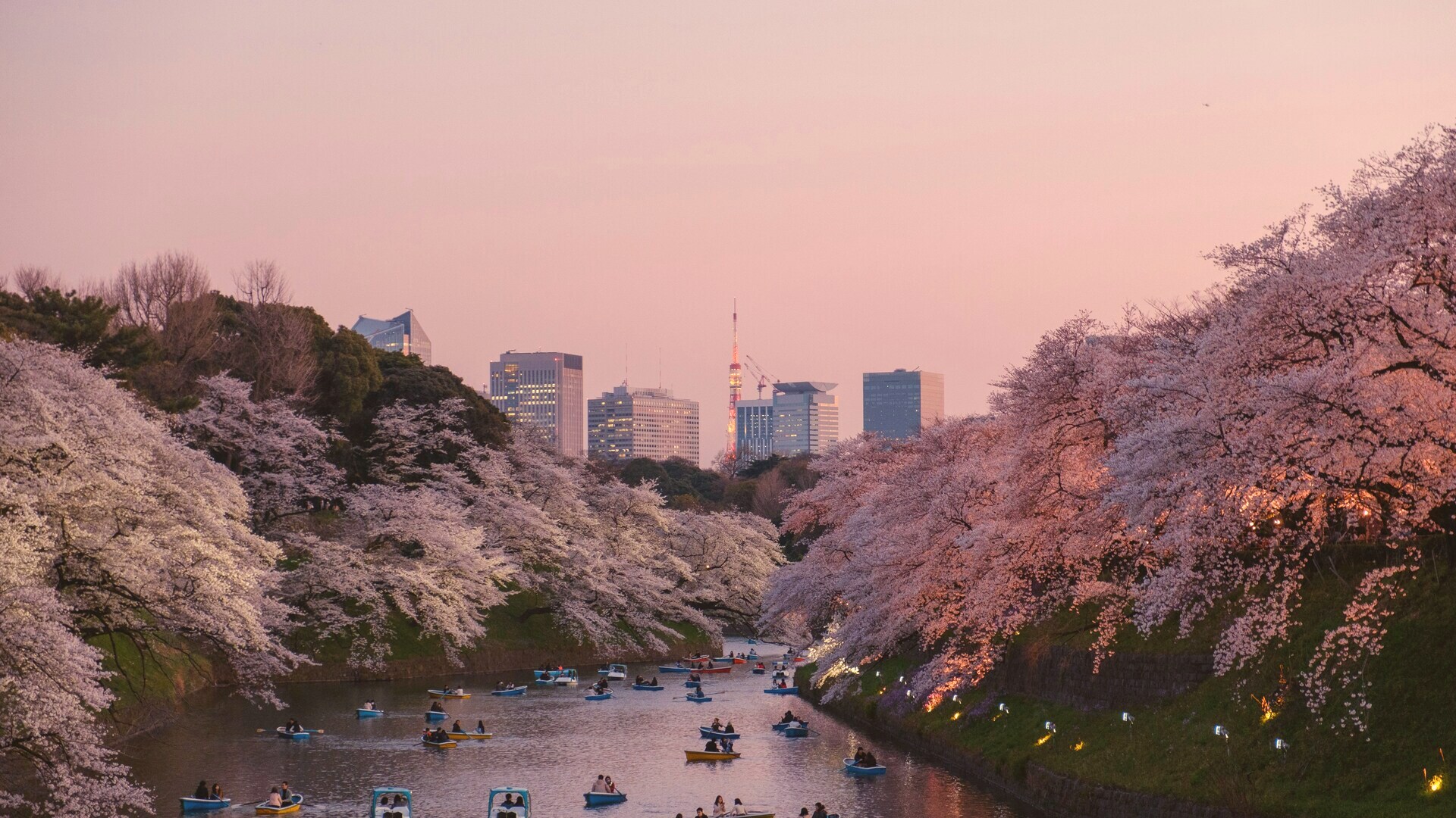 Japon